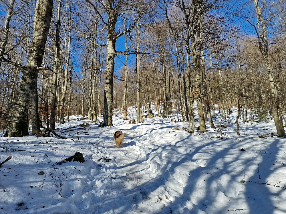 Kum z Malega Kuma, 28. 12. 2025