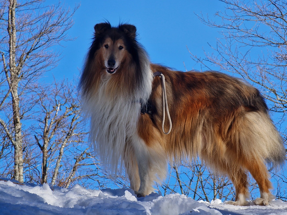 Kum z Malega Kuma, 28. 12. 2025