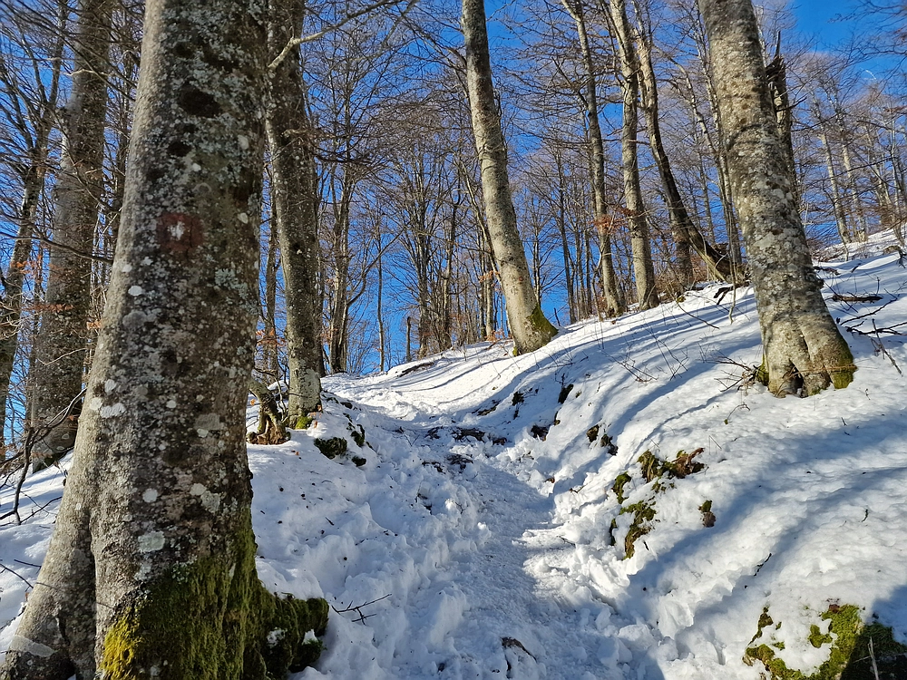 Kum z Malega Kuma, 28. 12. 2025