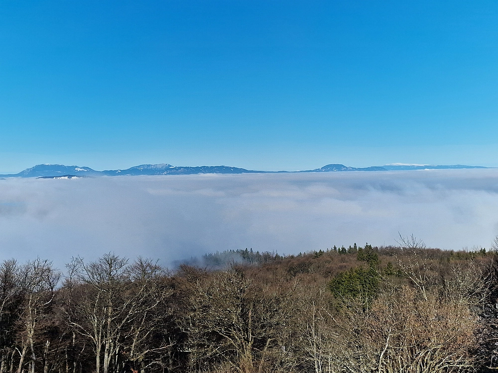 Kum z Malega Kuma, 28. 12. 2025