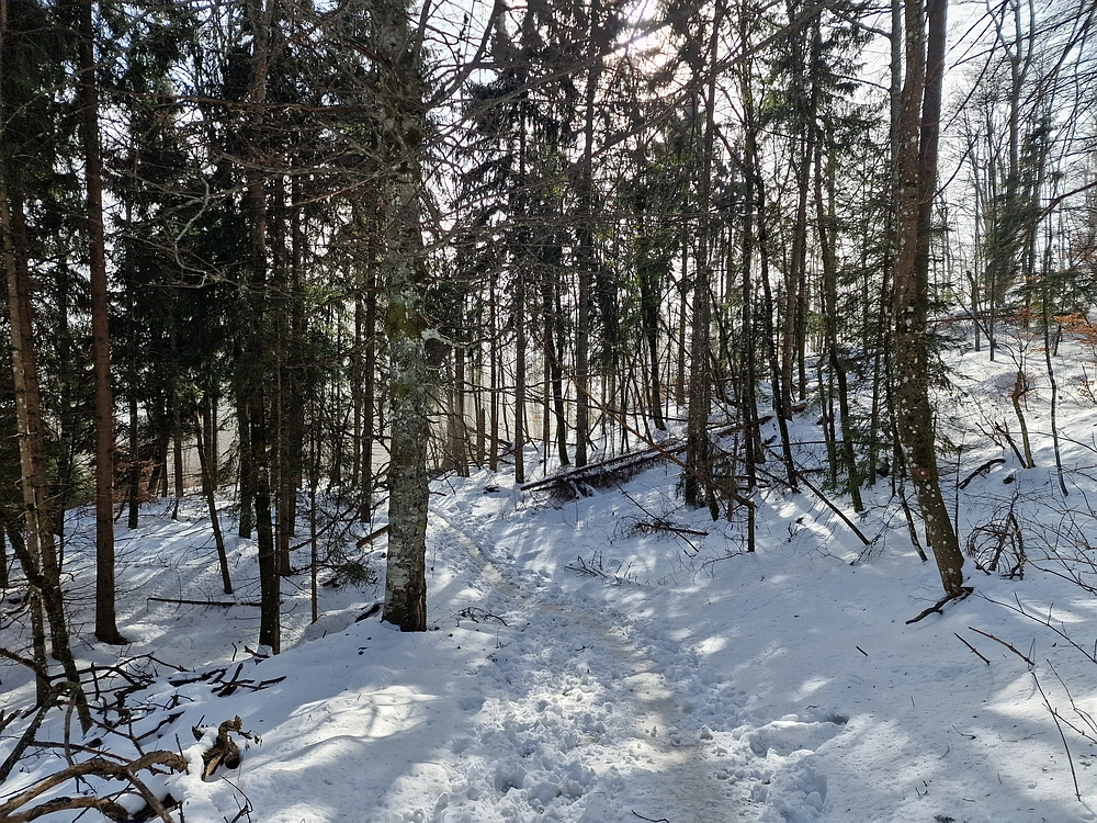 Kum z Malega Kuma, 28. 12. 2025