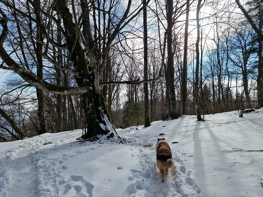 Kum z Malega Kuma, 28. 12. 2025