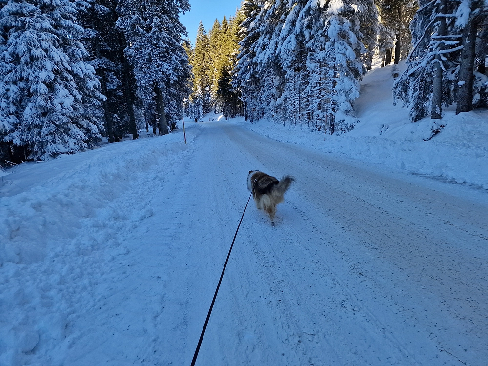 Lovrenška jezera, 29. 12. 2025