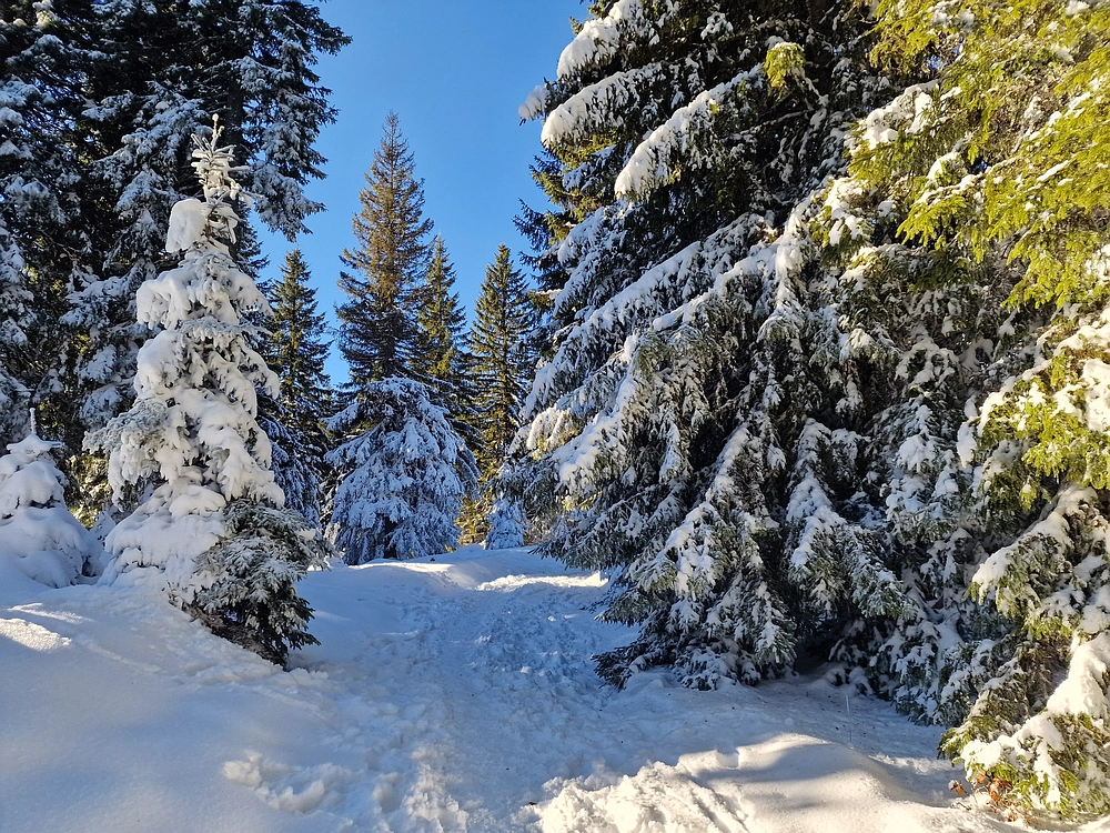 Lovrenška jezera, 29. 12. 2025