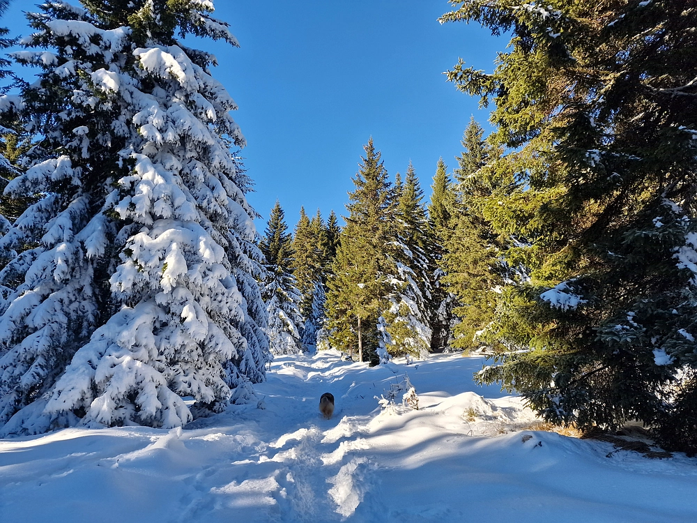 Lovrenška jezera, 29. 12. 2025