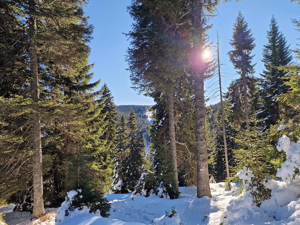 Lovrenška jezera, 29. 12. 2025