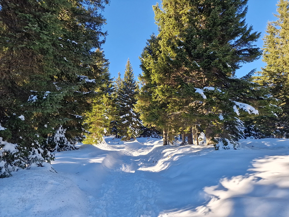 Lovrenška jezera, 29. 12. 2025