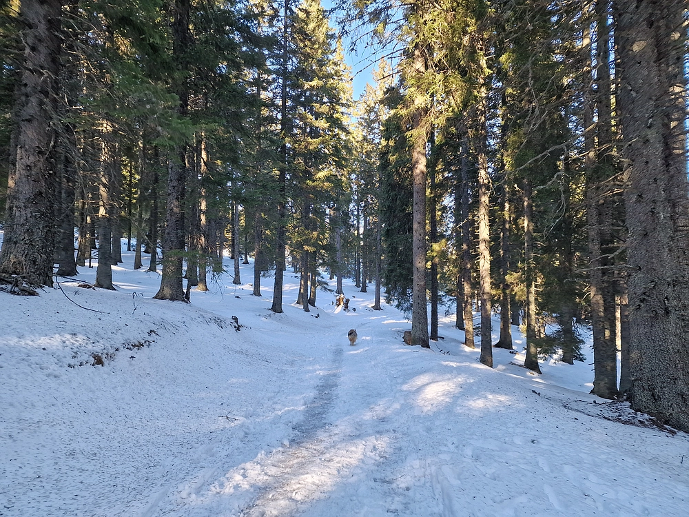 Lovrenška jezera, 29. 12. 2025