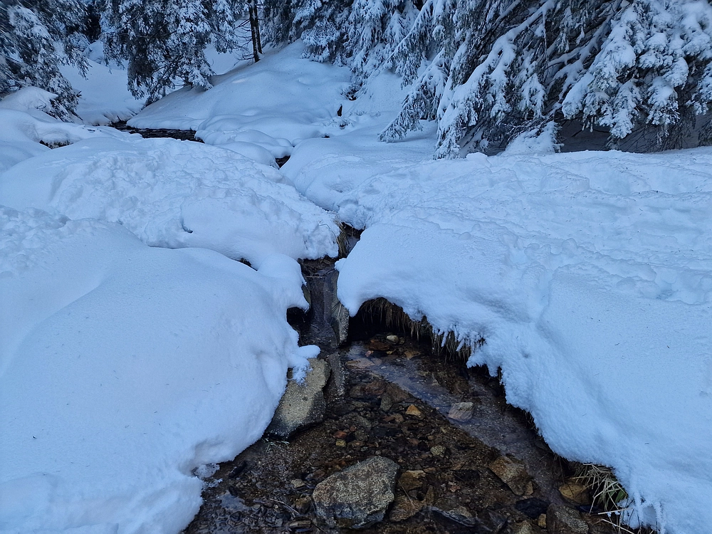 Lovrenška jezera, 29. 12. 2025
