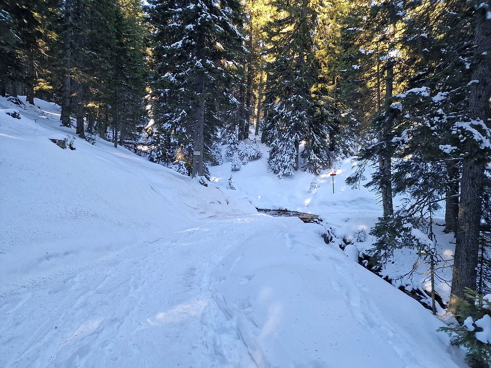 Lovrenška jezera, 29. 12. 2025