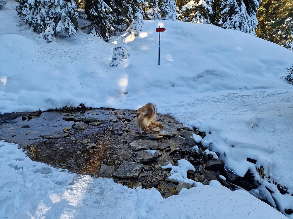 Lovrenška jezera, 29. 12. 2025