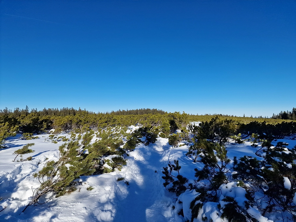 Lovrenška jezera, 29. 12. 2025