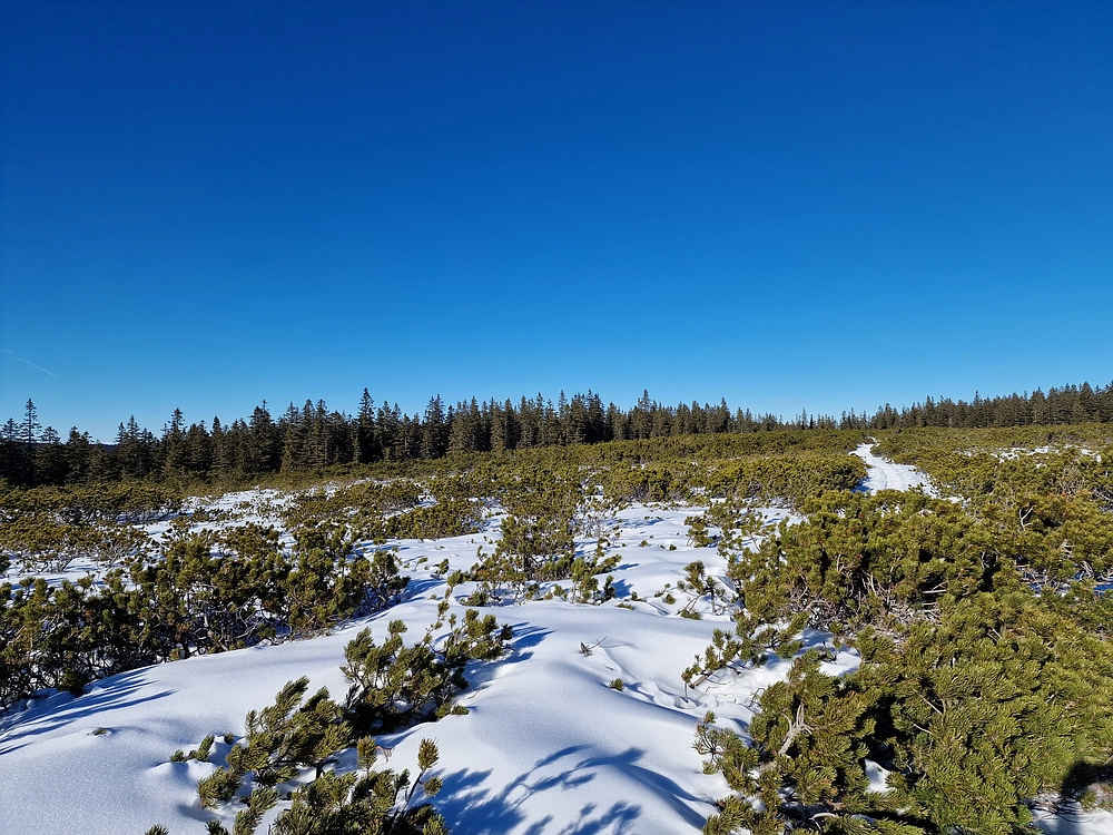 Lovrenška jezera, 29. 12. 2025