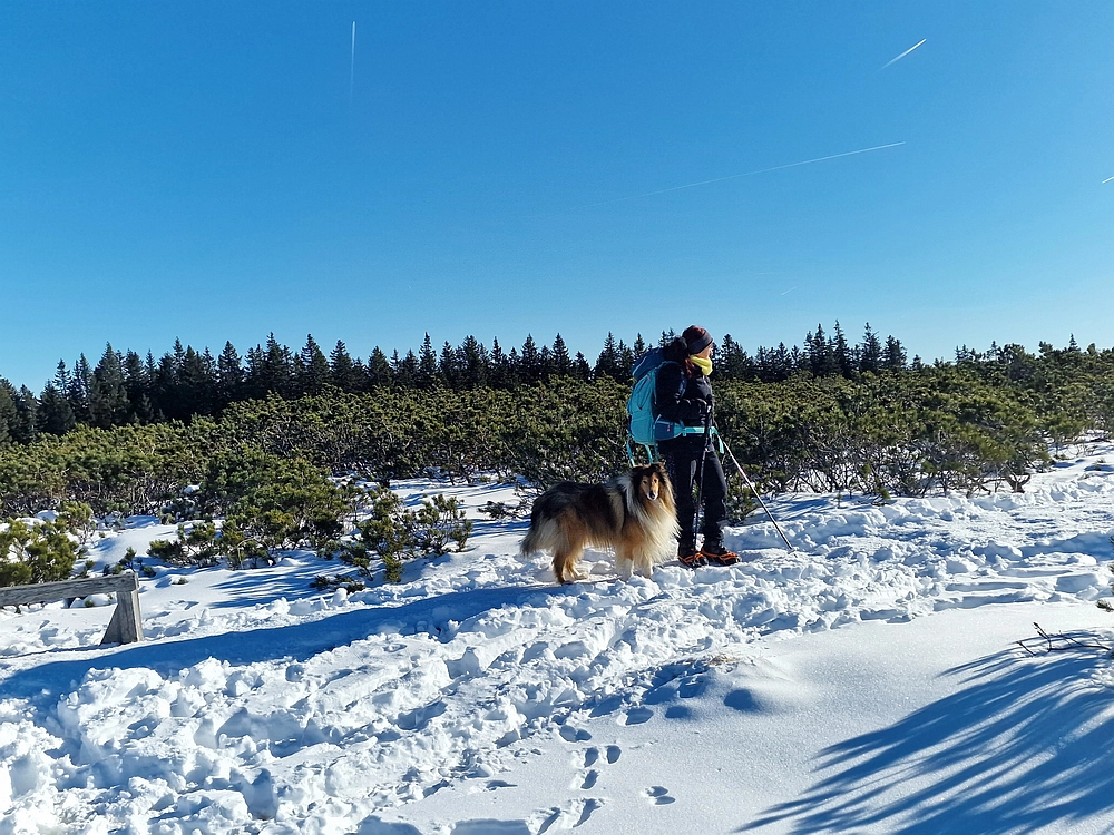 Lovrenška jezera, 29. 12. 2025
