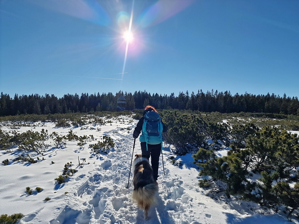 Lovrenška jezera, 29. 12. 2025