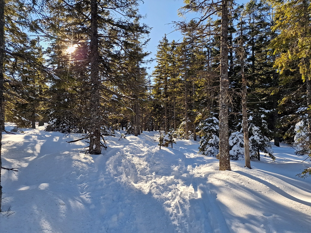 Lovrenška jezera, 29. 12. 2025