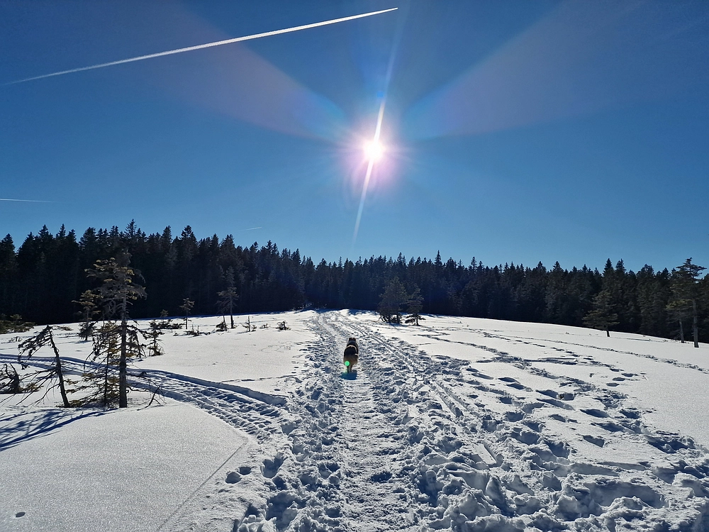 Lovrenška jezera, 29. 12. 2025