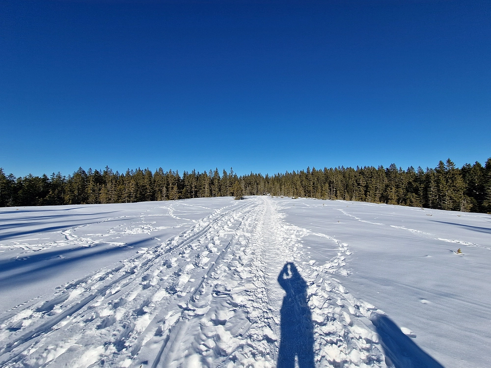 Lovrenška jezera, 29. 12. 2025