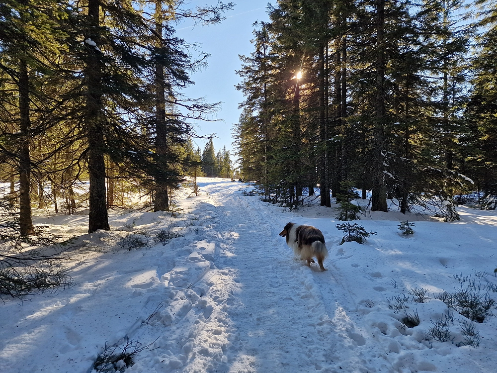 Lovrenška jezera, 29. 12. 2025