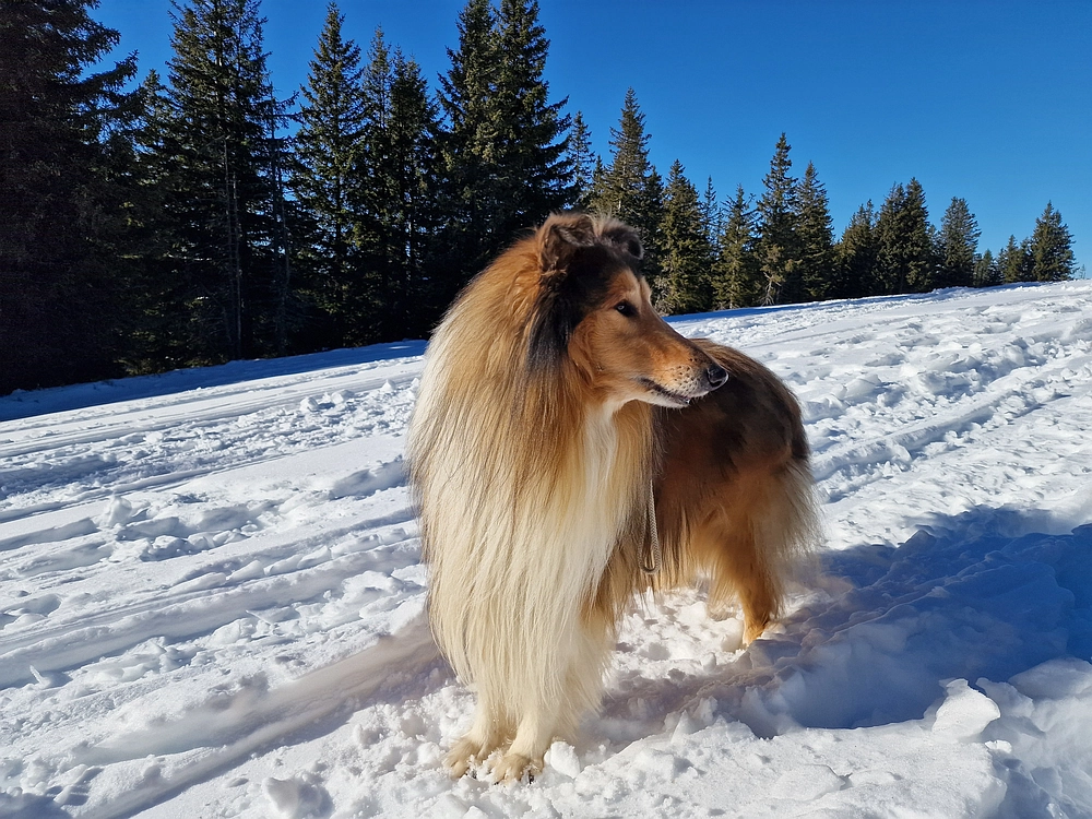 Lovrenška jezera, 29. 12. 2025
