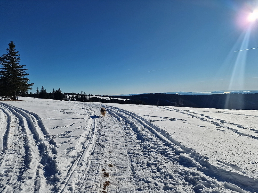 Lovrenška jezera, 29. 12. 2025