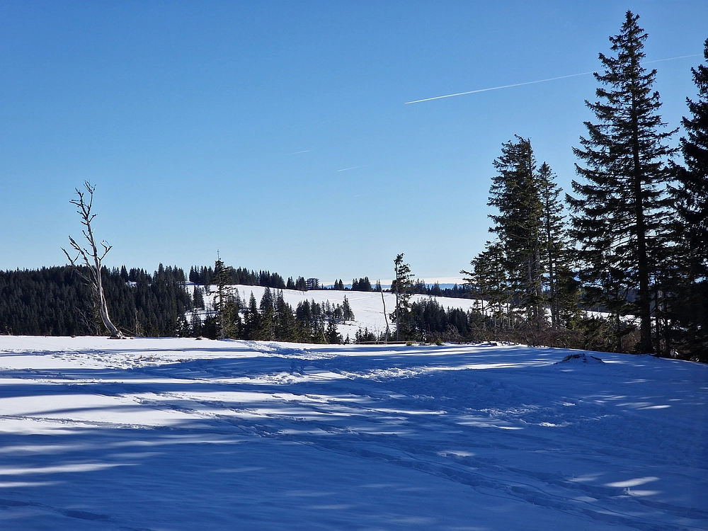 Lovrenška jezera, 29. 12. 2025