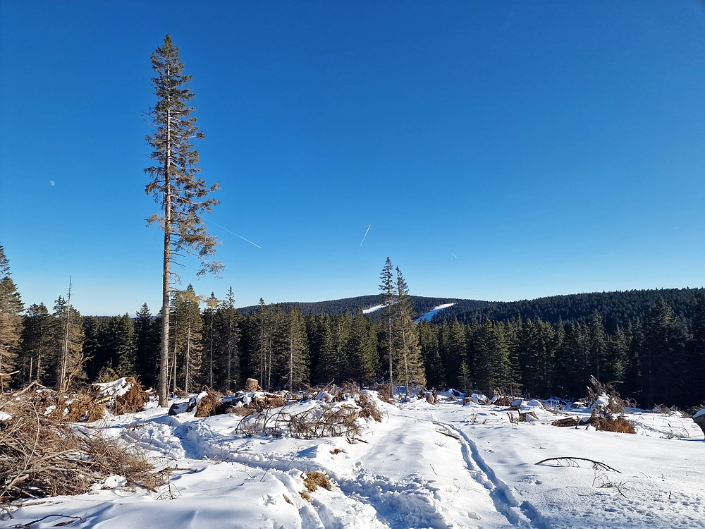 Lovrenška jezera, 29. 12. 2025