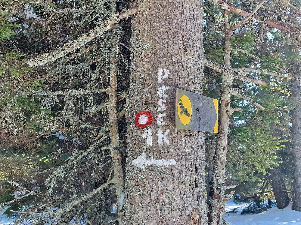 Lovrenška jezera, 29. 12. 2025