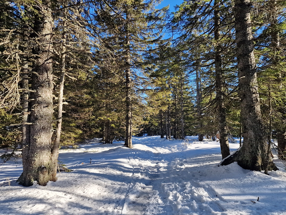 Lovrenška jezera, 29. 12. 2025