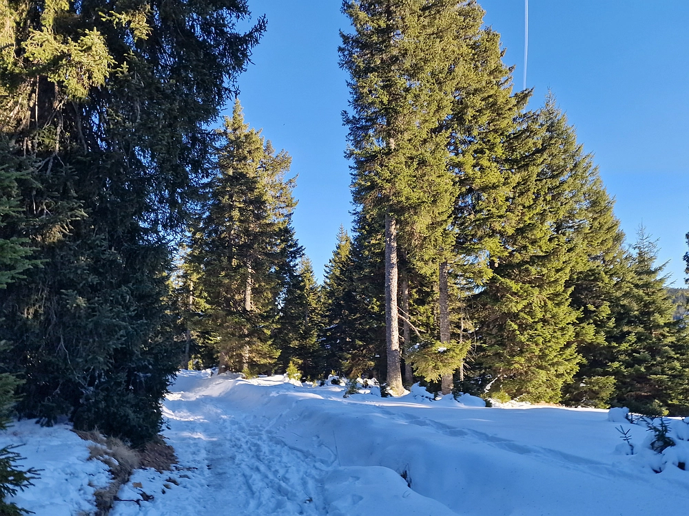 Lovrenška jezera, 29. 12. 2025