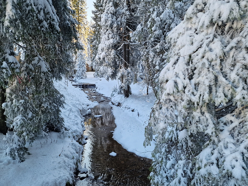 Lovrenška jezera, 29. 12. 2025