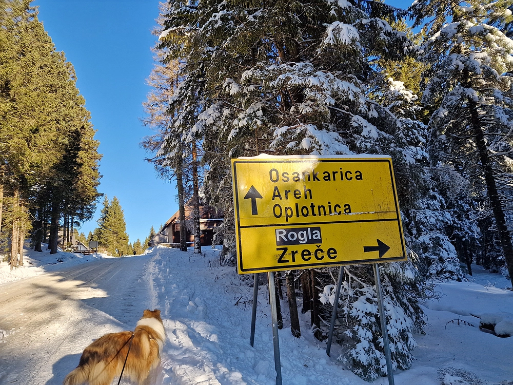 Lovrenška jezera, 29. 12. 2025