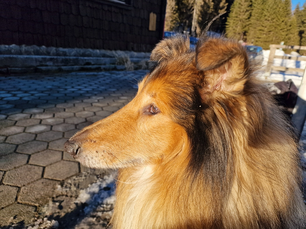 Lovrenška jezera, 29. 12. 2025