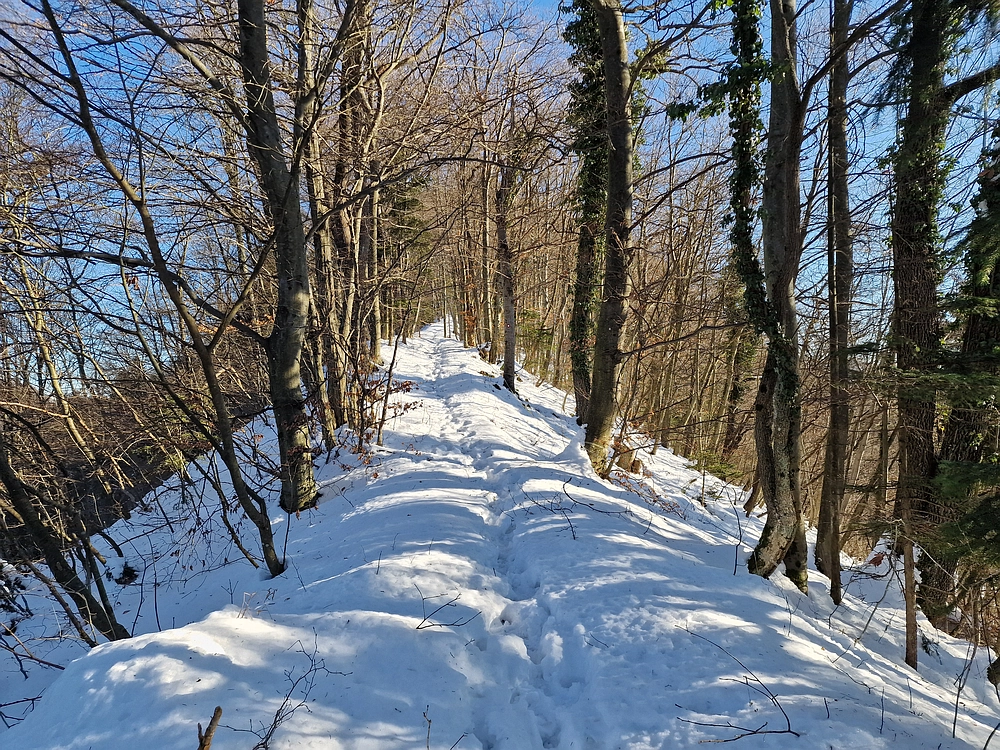 Reška planina, 31. 12. 2025