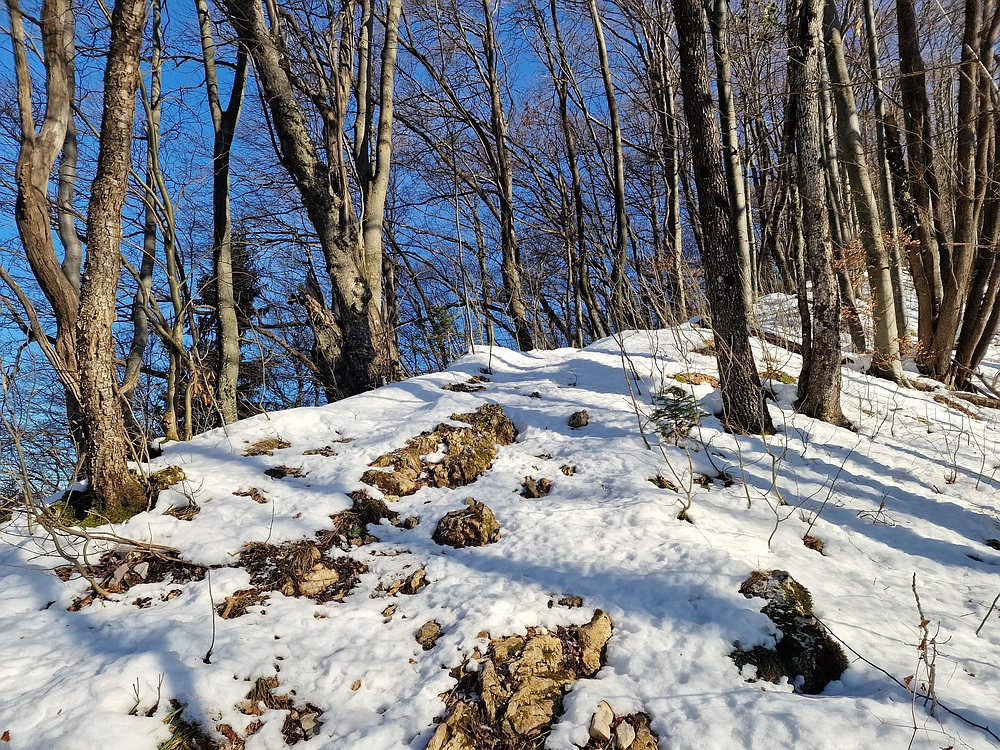 Reška planina, 31. 12. 2025