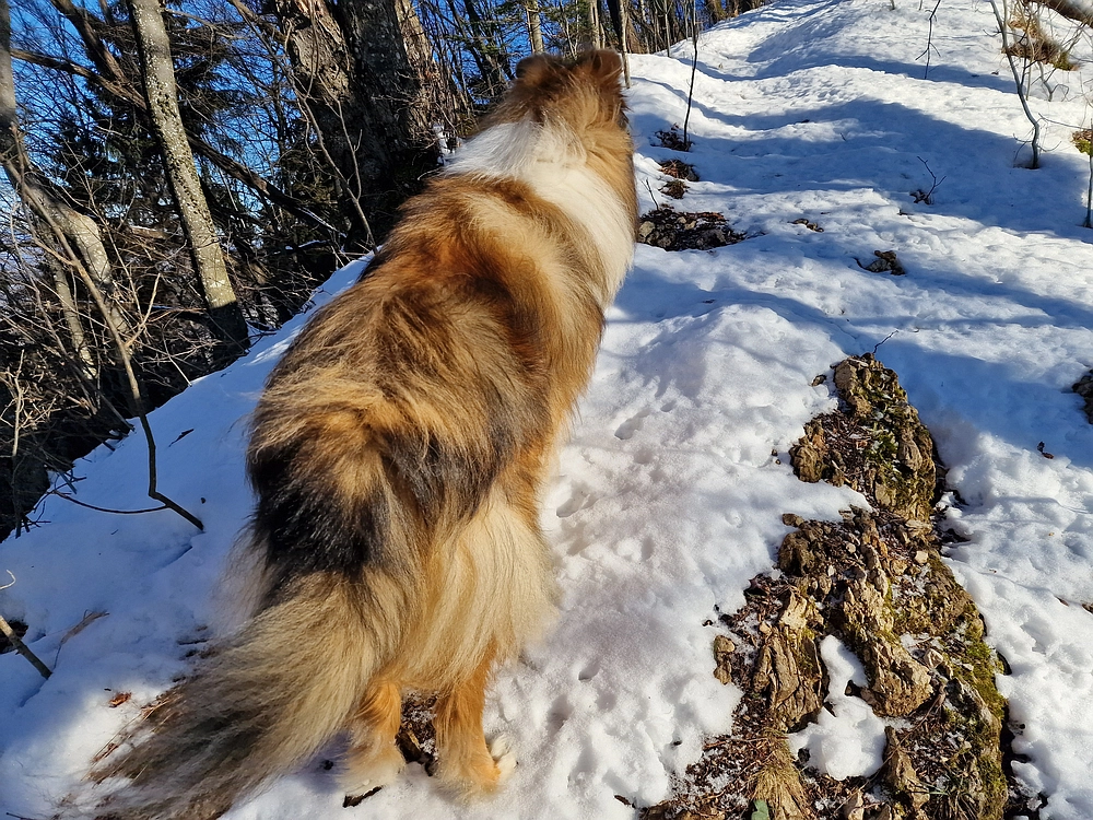 Reška planina, 31. 12. 2025