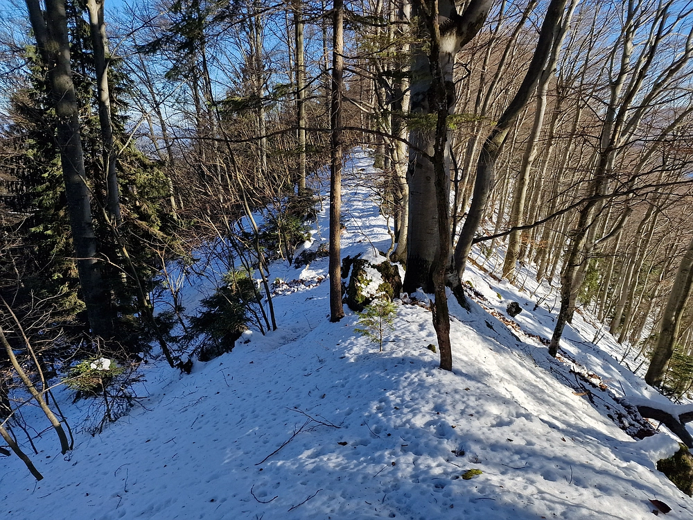 Reška planina, 31. 12. 2025