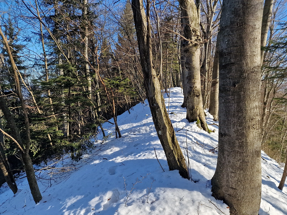 Reška planina, 31. 12. 2025