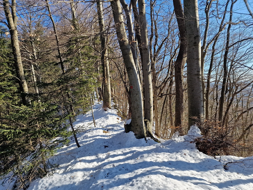 Reška planina, 31. 12. 2025