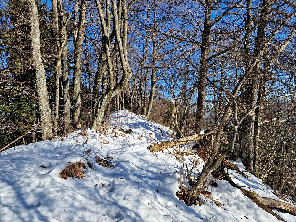Reška planina, 31. 12. 2025