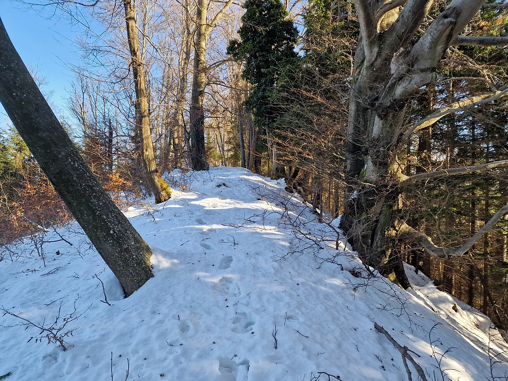 Reška planina, 31. 12. 2025