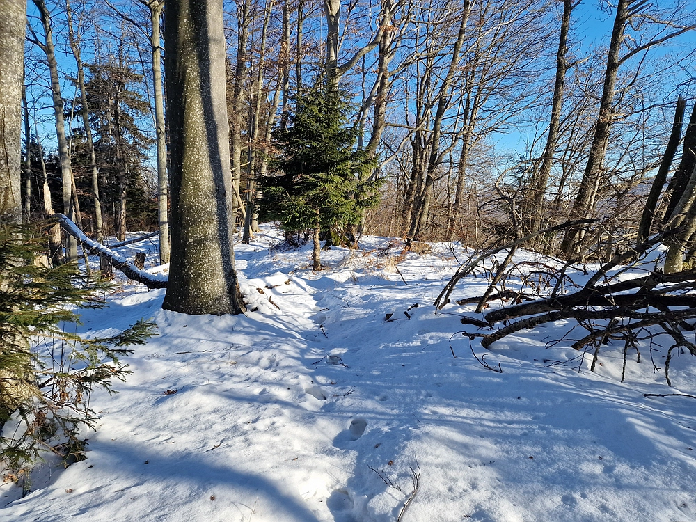Reška planina, 31. 12. 2025