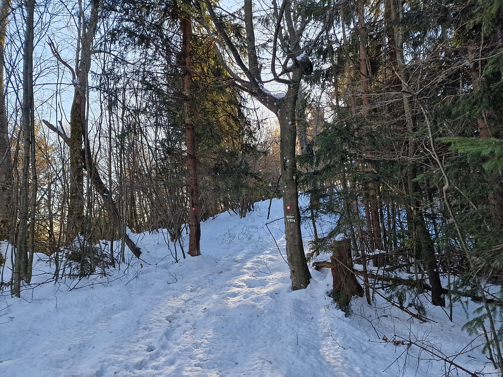 Reška planina, 31. 12. 2025