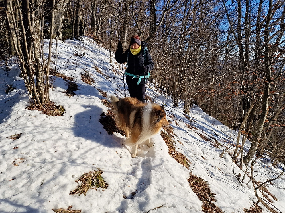 Reška planina, 31. 12. 2025