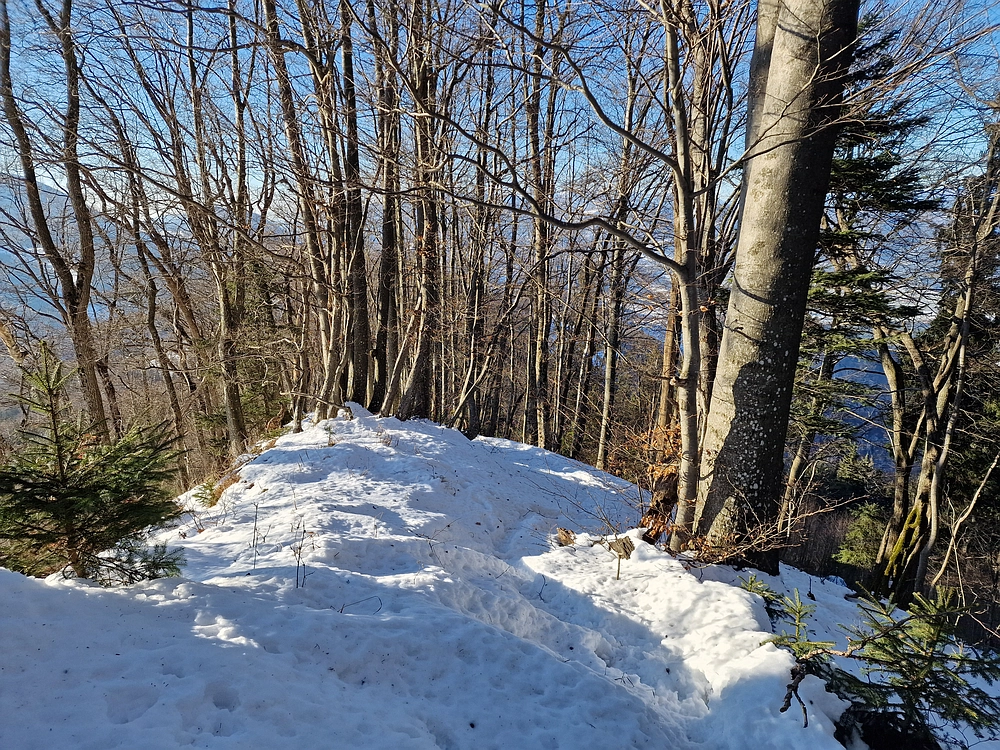 Reška planina, 31. 12. 2025