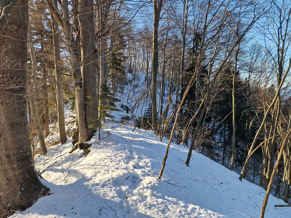 Reška planina, 31. 12. 2025