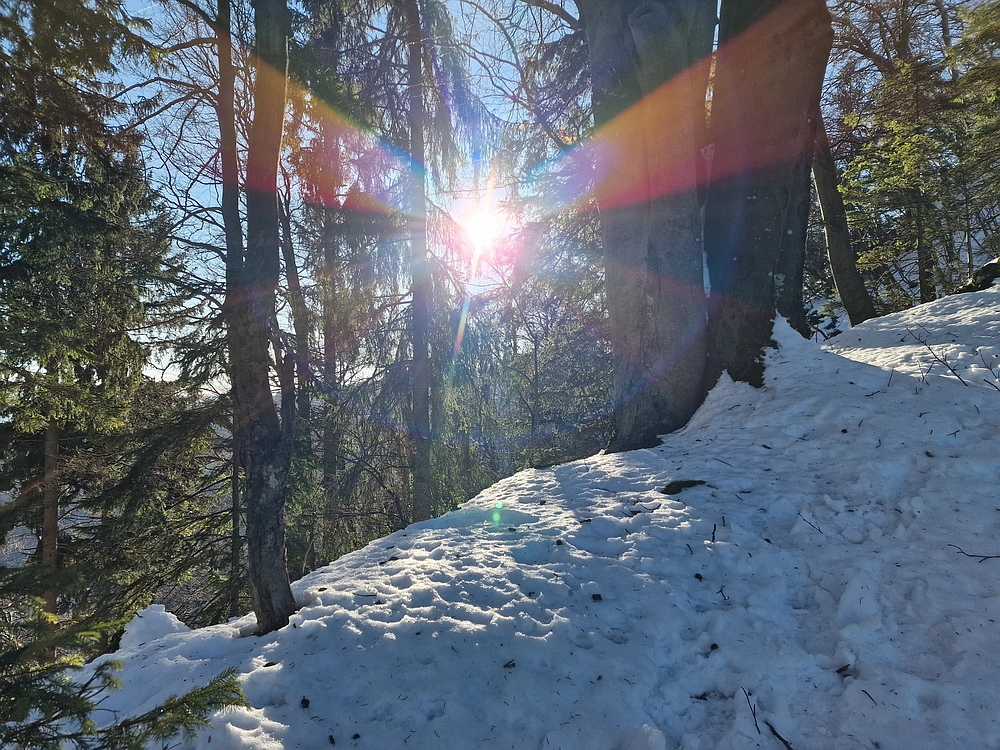 Reška planina, 31. 12. 2025