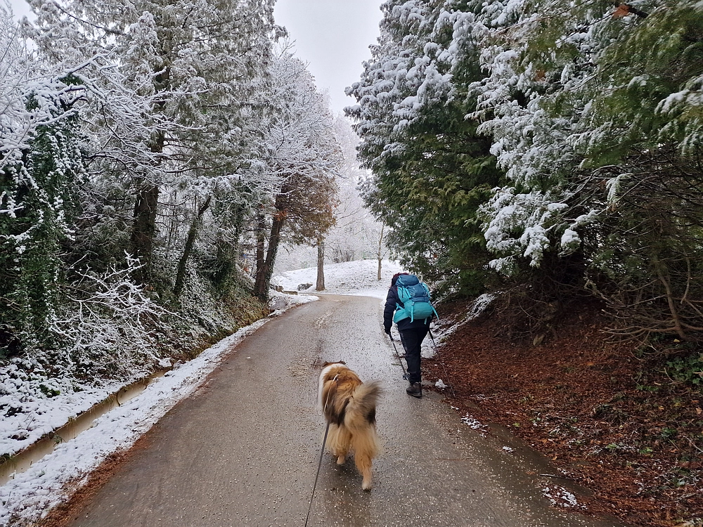 Stolpnik, 3. 1. 2026