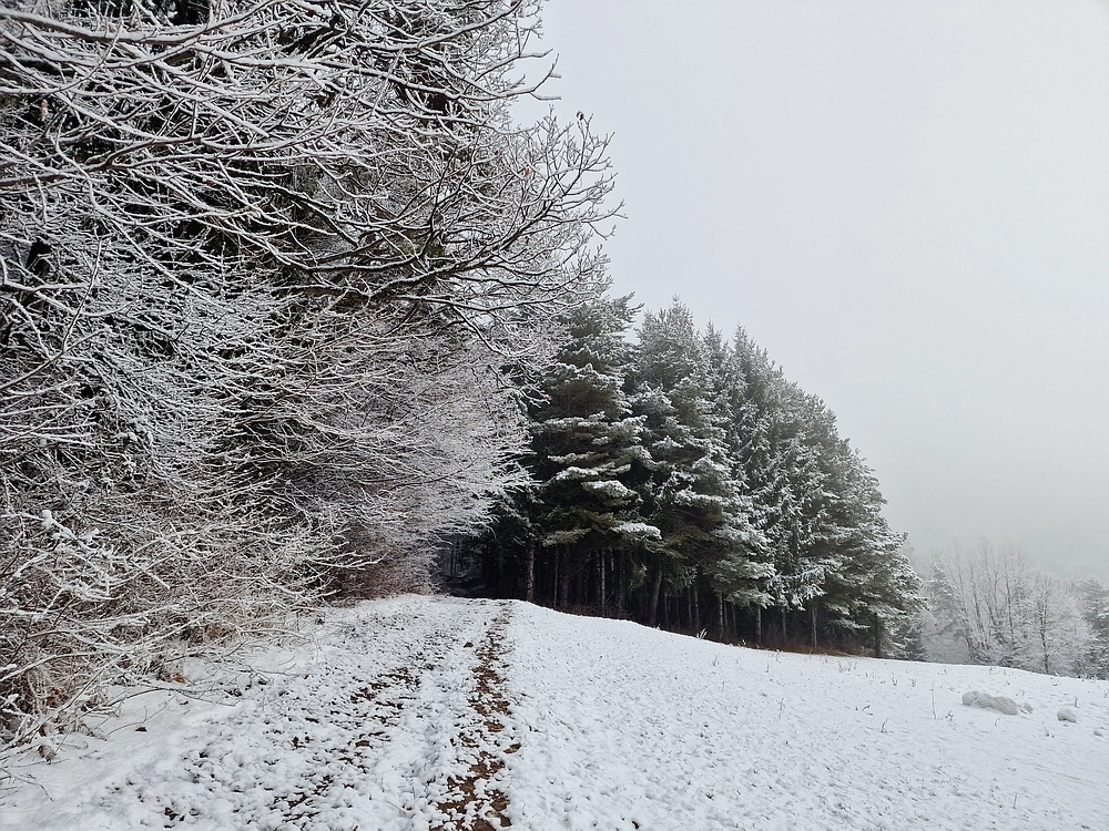 Stolpnik, 3. 1. 2026