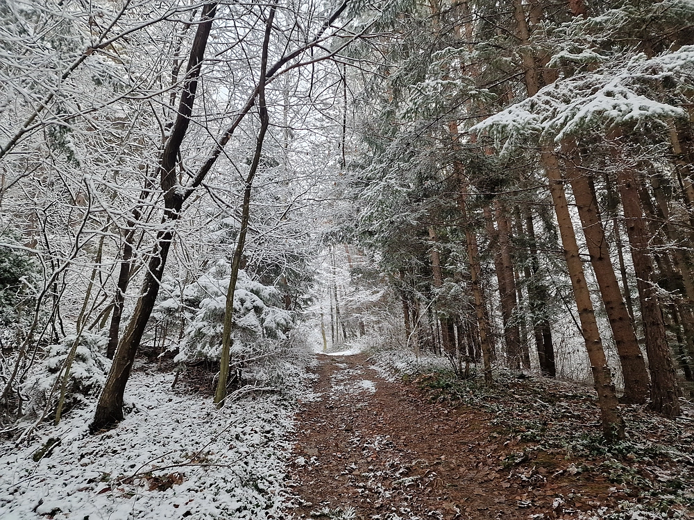 Stolpnik, 3. 1. 2026